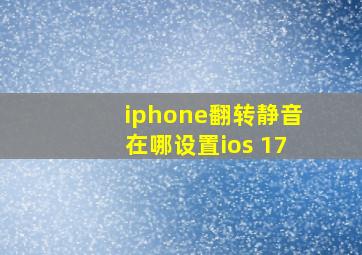 iphone翻转静音在哪设置ios 17